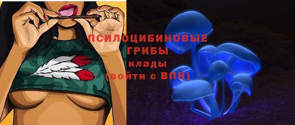 ешки Балахна